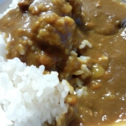 ジャワカレーはつです(^o^)
おいしかったです！